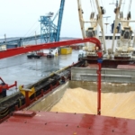 Закупка и экспорт пшеницы через глубоководные порты Чёрного моря.